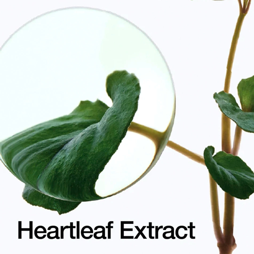 🌿 Anua Heartleaf Pore Control Cleansing Oil – 200 ml